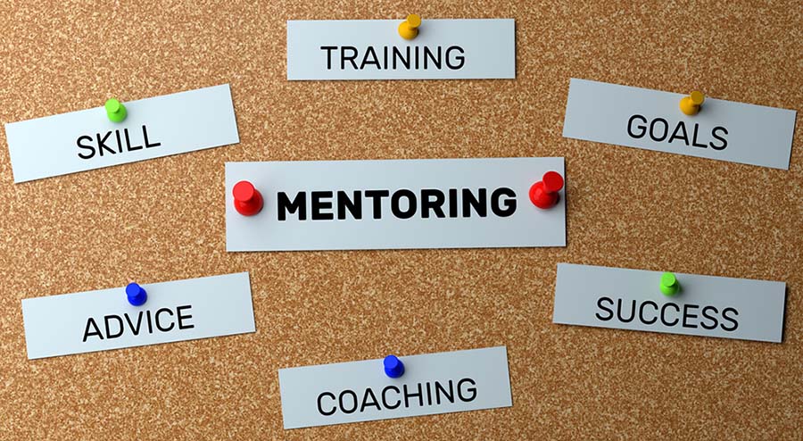 There's a core board with the words mentoring, coahcing, training