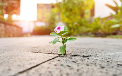 Are You Resisting the Change You Want to Make?