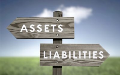 Career: Assets and Liabilities