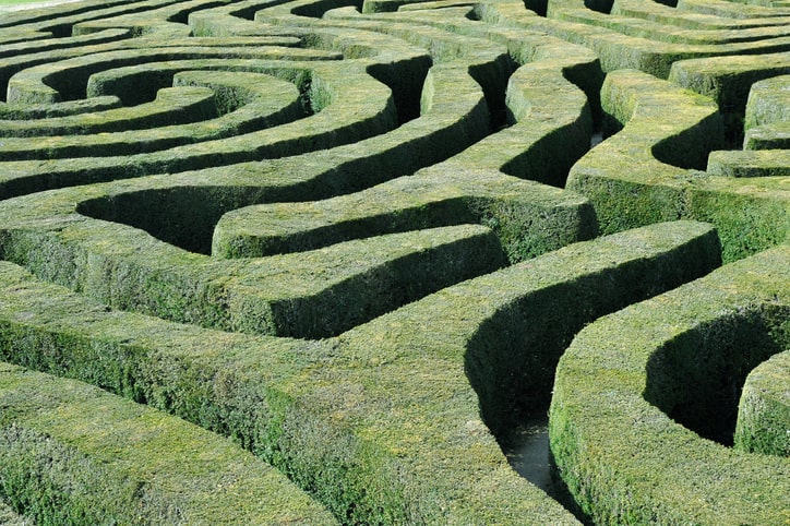 grassy hedge maze