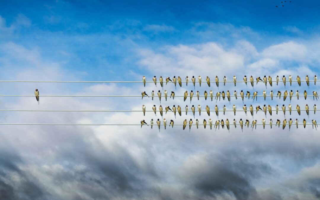 birds on a wire with one sitting far from the flock.