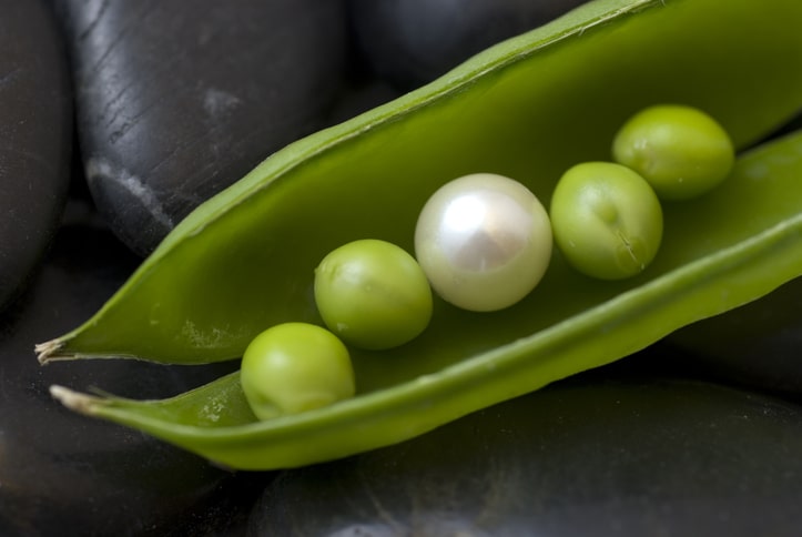 peas in a pod and one is a pearl