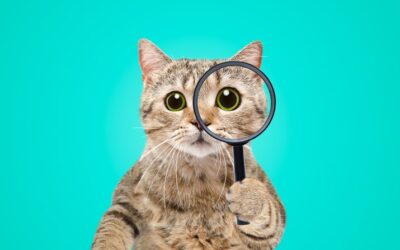 Five Ways to Create Space for “Aha” Moments