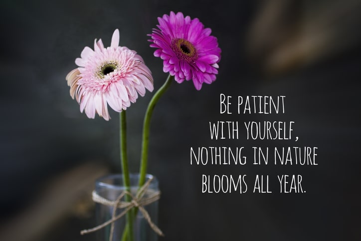 picture of flowers in vase with words, be patient with yourself, nothing blooms all year